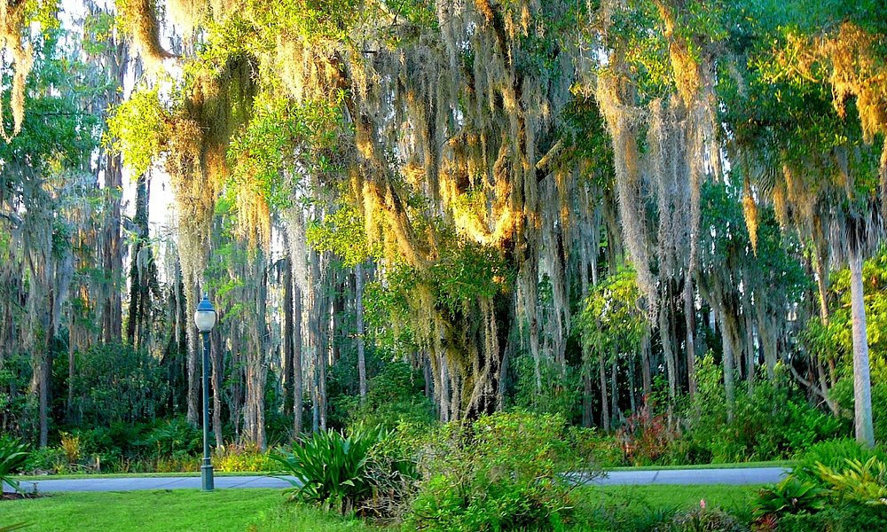 Wesley Chapel 2021: Best of Wesley Chapel, FL Tourism - Tripadvisor