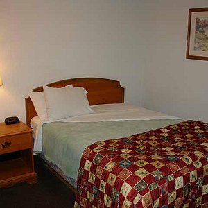 Clean, recently renovated bedrooms