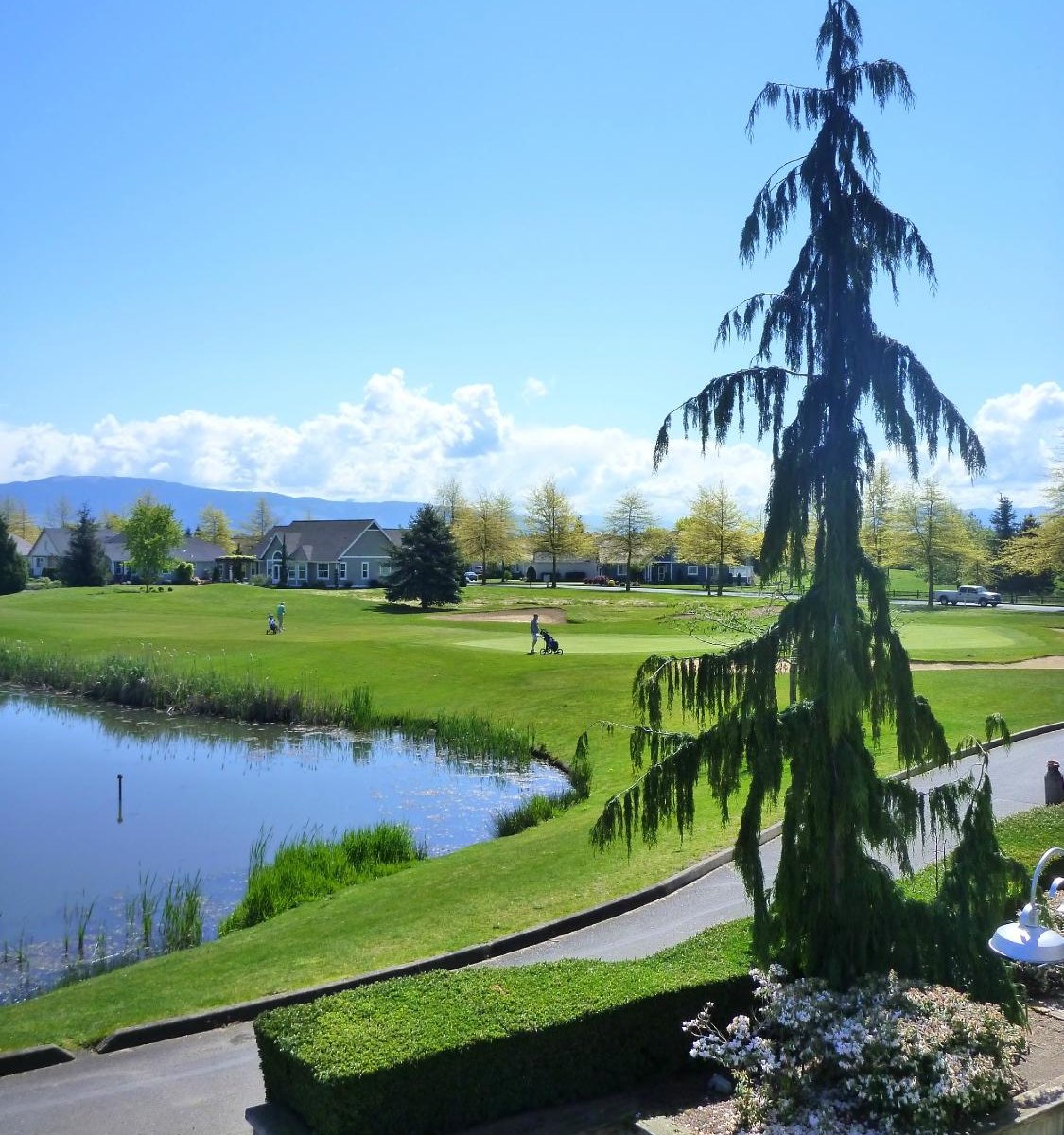 Homestead Golf & Country Club (Lynden) All You Need to Know BEFORE You Go