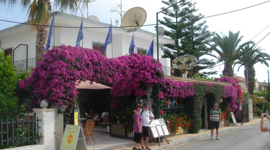 Harry's Bar & Apartments