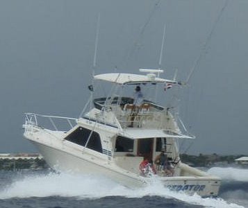 Mike's Marina Fishing Charters SRL - All You Need to Know BEFORE You Go  (2024)