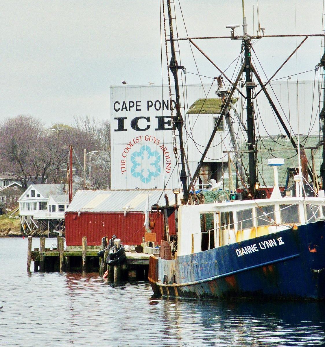 cape pond ice tour