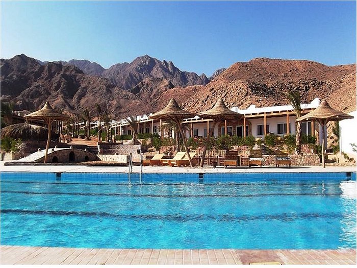 CANYON ESTATE DAHAB BEACH HOTEL RESIDENCE $50 ($̶6̶3̶) - Prices & Resort  Reviews - Egypt