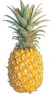 Pineapples-a-Plenty