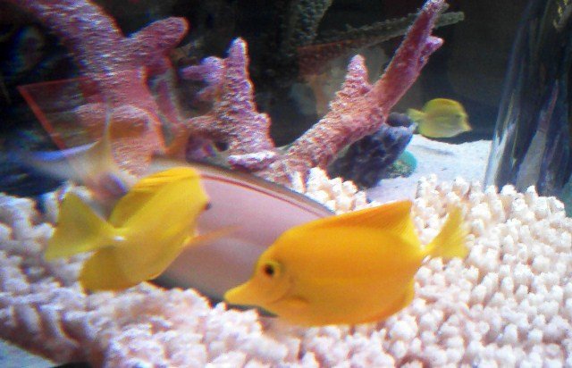 SEA LIFE Kansas City - All You Need to Know BEFORE You Go