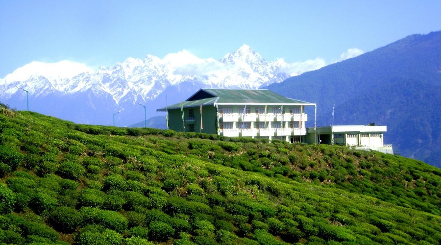 Cherry Resort