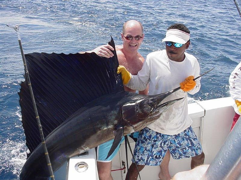 Yellowfin Sportfishing Charters image