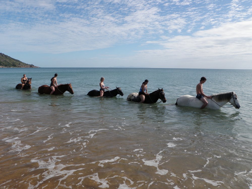 THE 10 BEST Australia Horseback Riding Tours (with Photos)