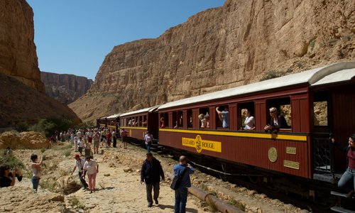 Red Lizard Train