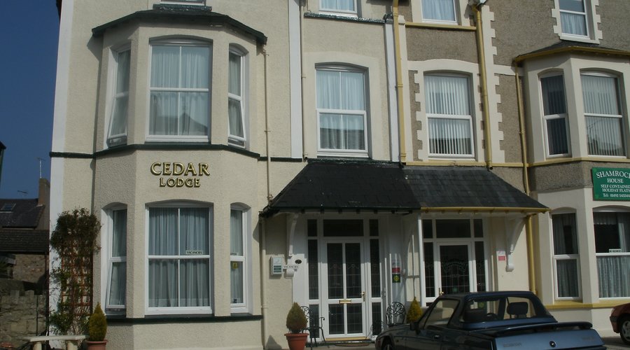 front aspect