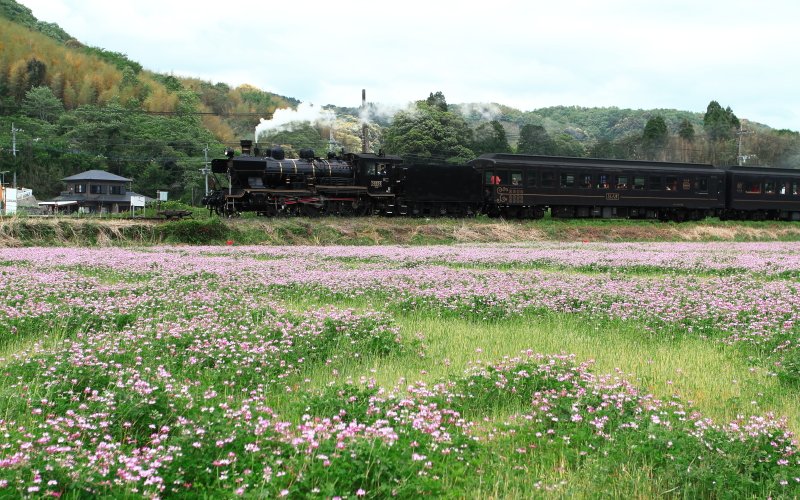 渡駅入線