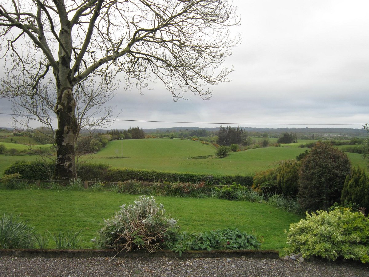 Quiet countryside. Вереск County Wicklow. Ирландия земельное право.