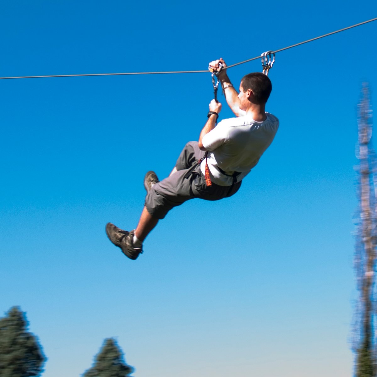 Treetops reopens at Paradise Park