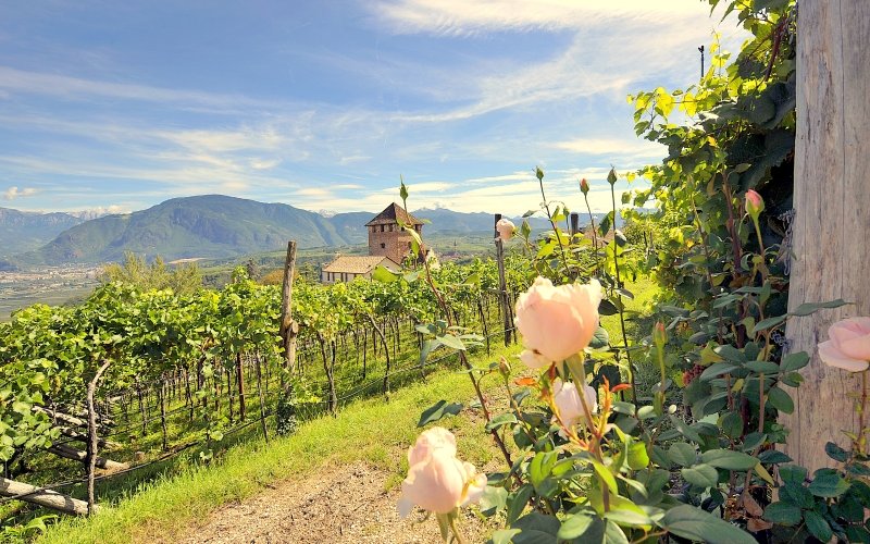 Sommer im Schloss Hotel Kobr