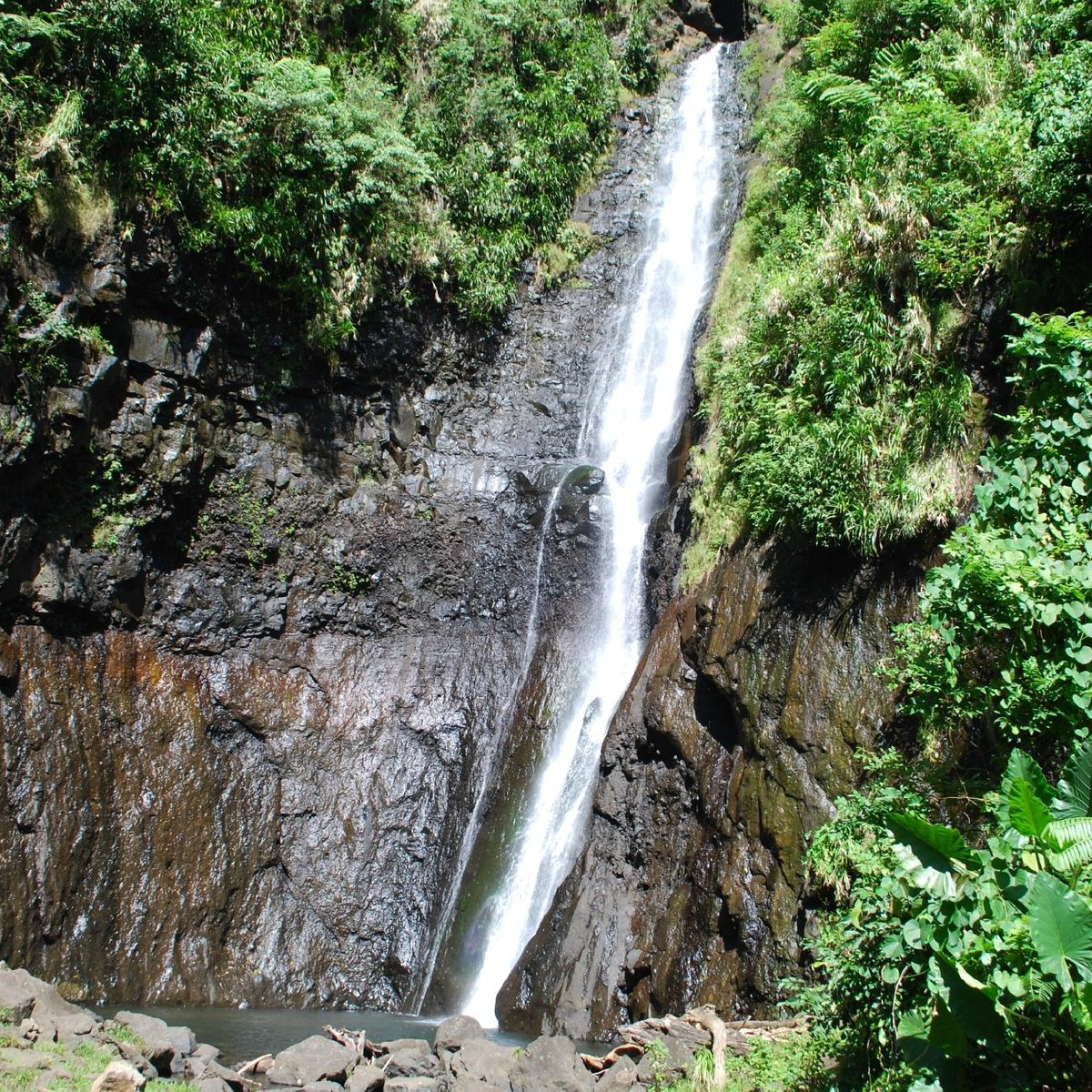 CASCADE DE LA VALLÉE DE LA FAUTAUA (Tahiti): Ce qu'il faut savoir