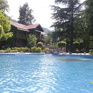 the swimming  pool