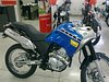 Rodrigo R