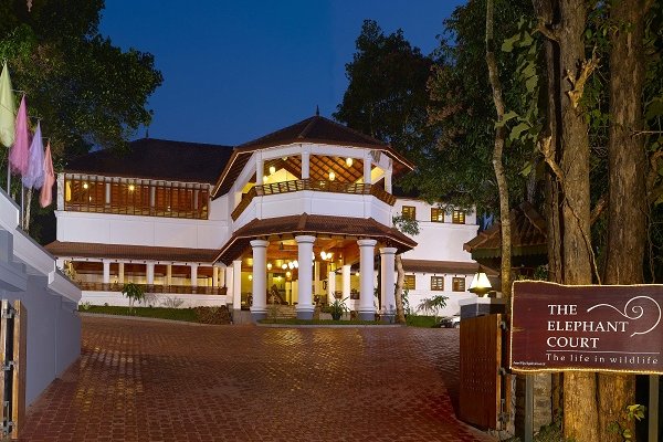 Front View