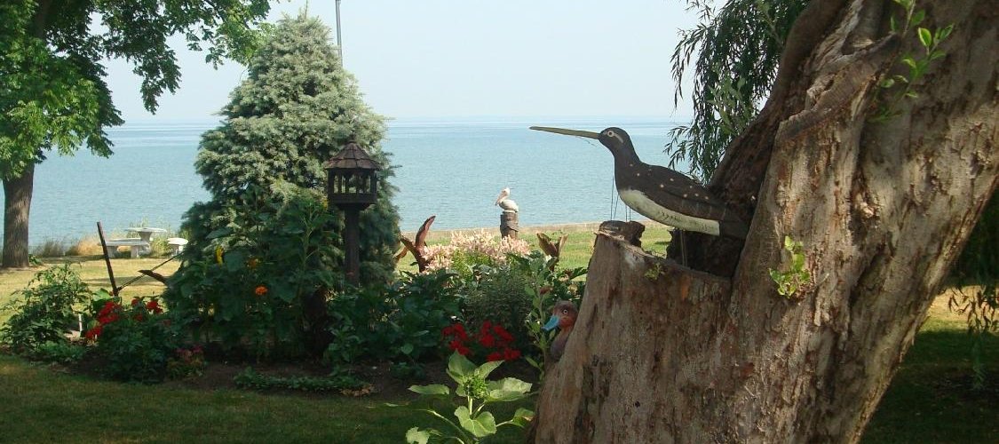 Yard with shade and places to sit
