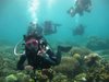 wandering_dive_geek