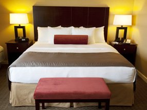 Newly Remodeled rooms