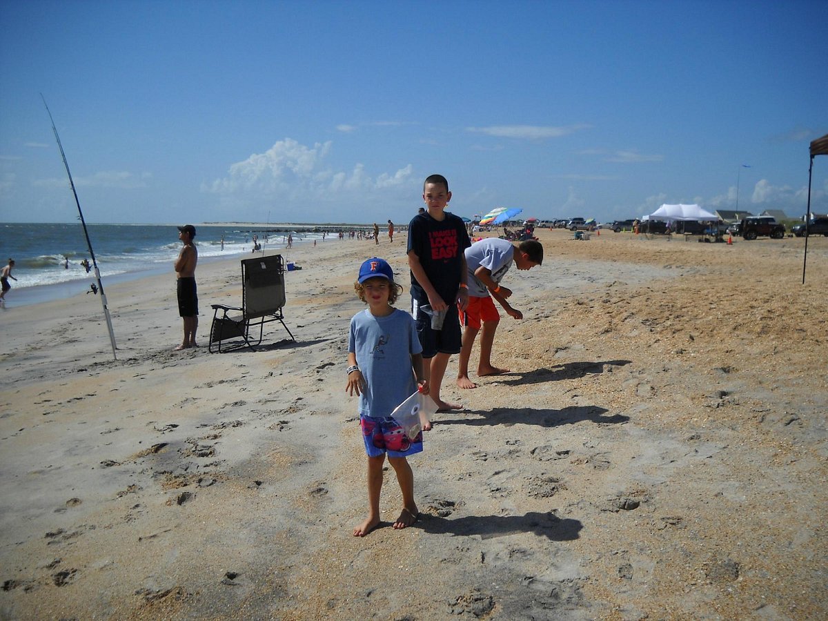 SAINT AUGUSTINE'S ORIGINAL SHARK TEETH HUNTING TOURS (Vilano Beach