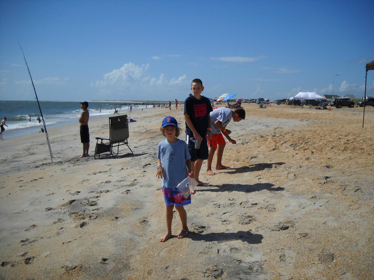 SAINT AUGUSTINE'S ORIGINAL SHARK TEETH HUNTING TOURS (Vilano Beach