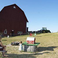 Farm behind the market.