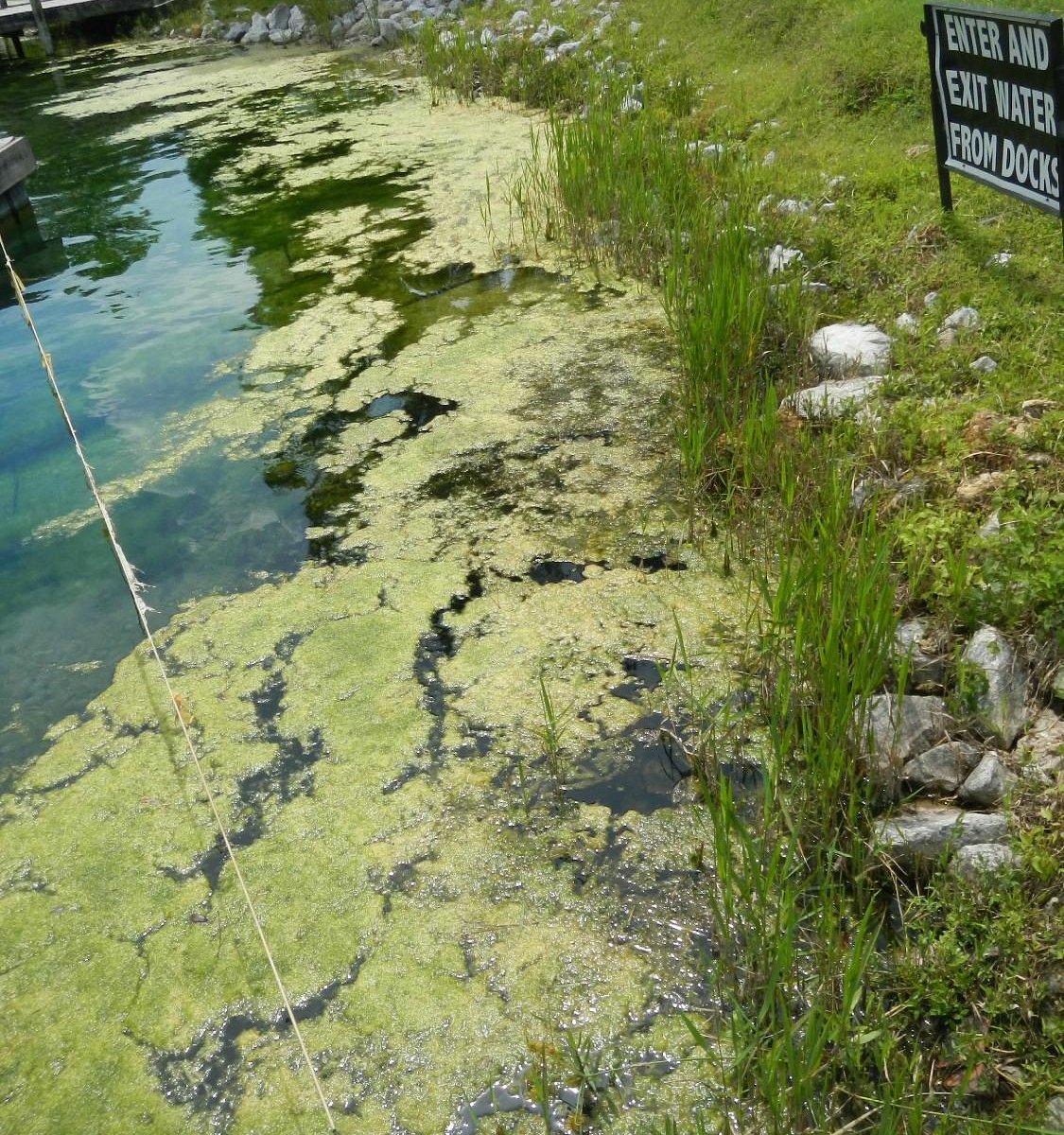 Vortex Springs Ponce De Leon All You Need To Know Before You Go