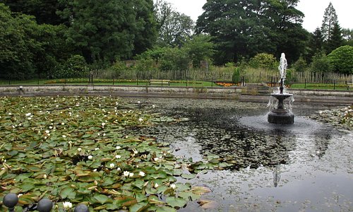 The restored lilly pond in the country park
