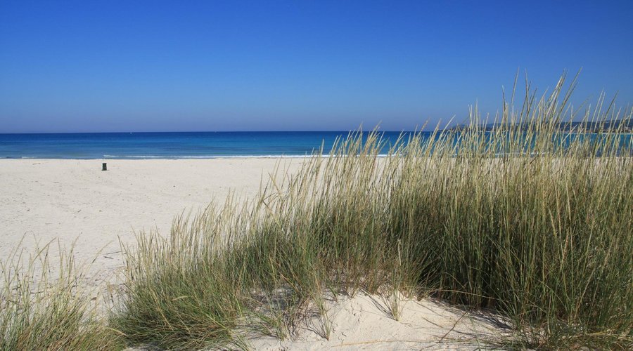 Spiagge a  1  km dall'Agriturismo Biricoccole