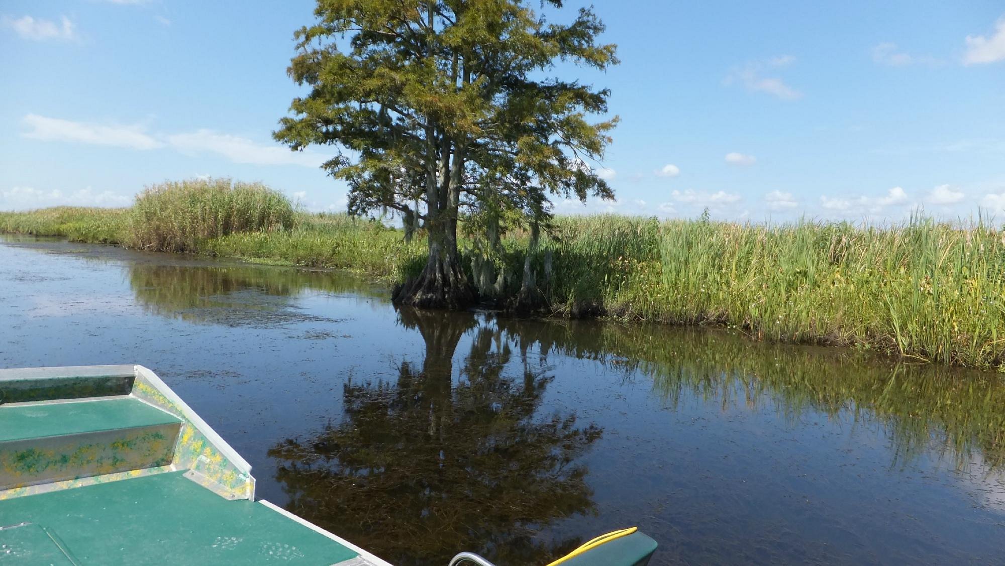 airboat tours spanish fort alabama