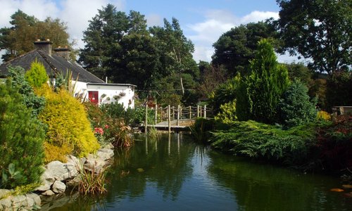 Pine Trees Lodge is an Anglers Paradise