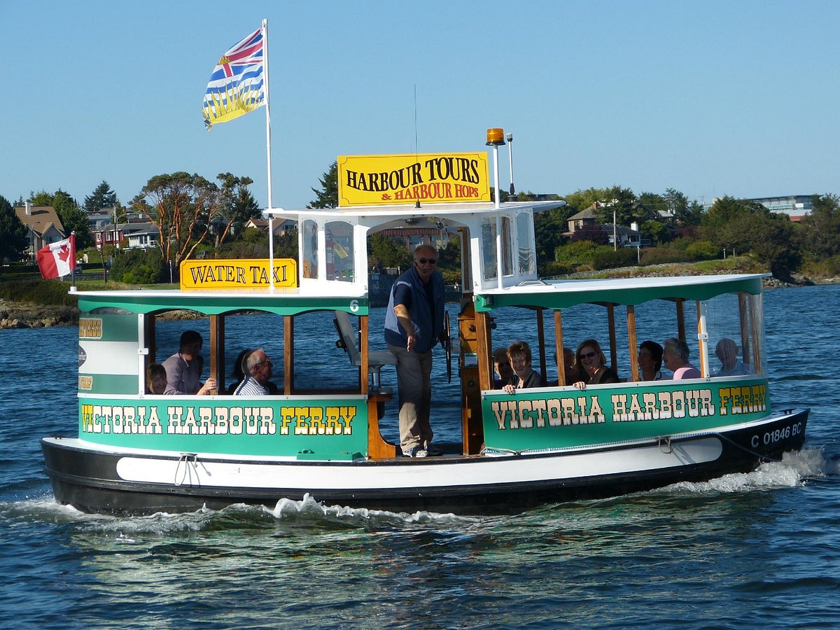 victoria harbour ferry cruise