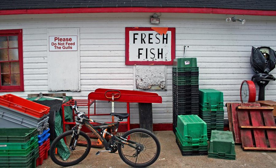 Herbert Fisheries, Killarney, Ontario