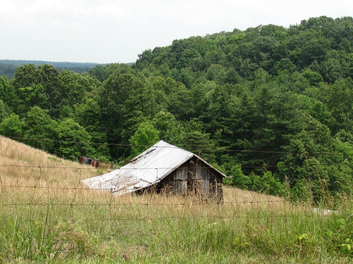 Zaleski State Forest - All You Need to Know BEFORE You Go (2024)