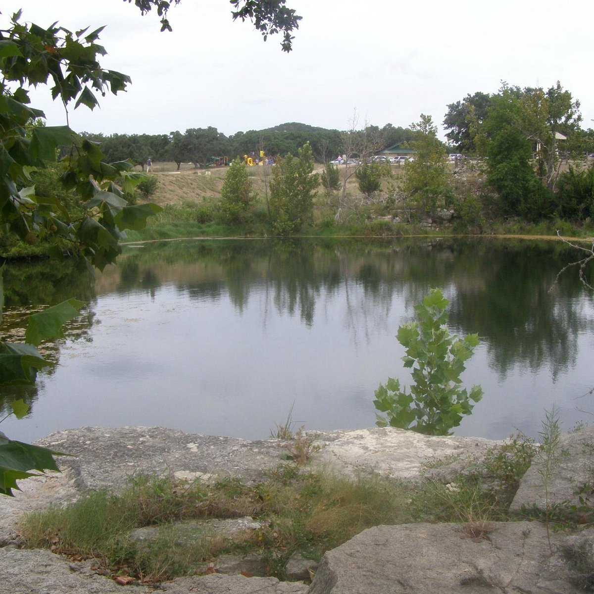 Joshua Springs Park And Preserve (Comfort) - All You Need To Know Before You Go