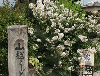 ここで記念撮影している人が多かったです。
