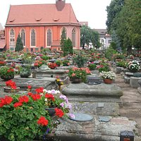 Amazing display of plants in pots at this cemetery