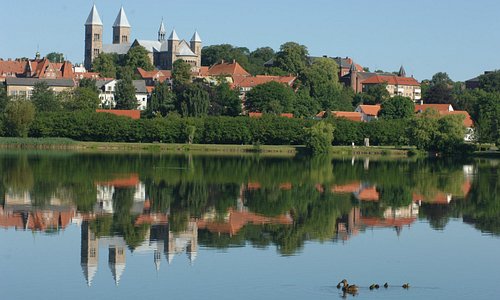 View on Viborg from the lake Søndersø