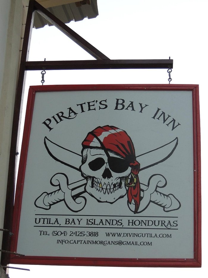 Pirate Bay Return