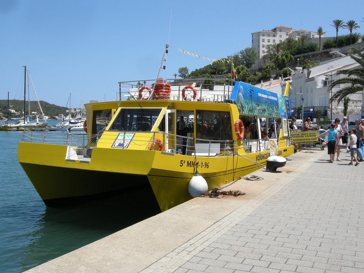 yellow catamarans mao