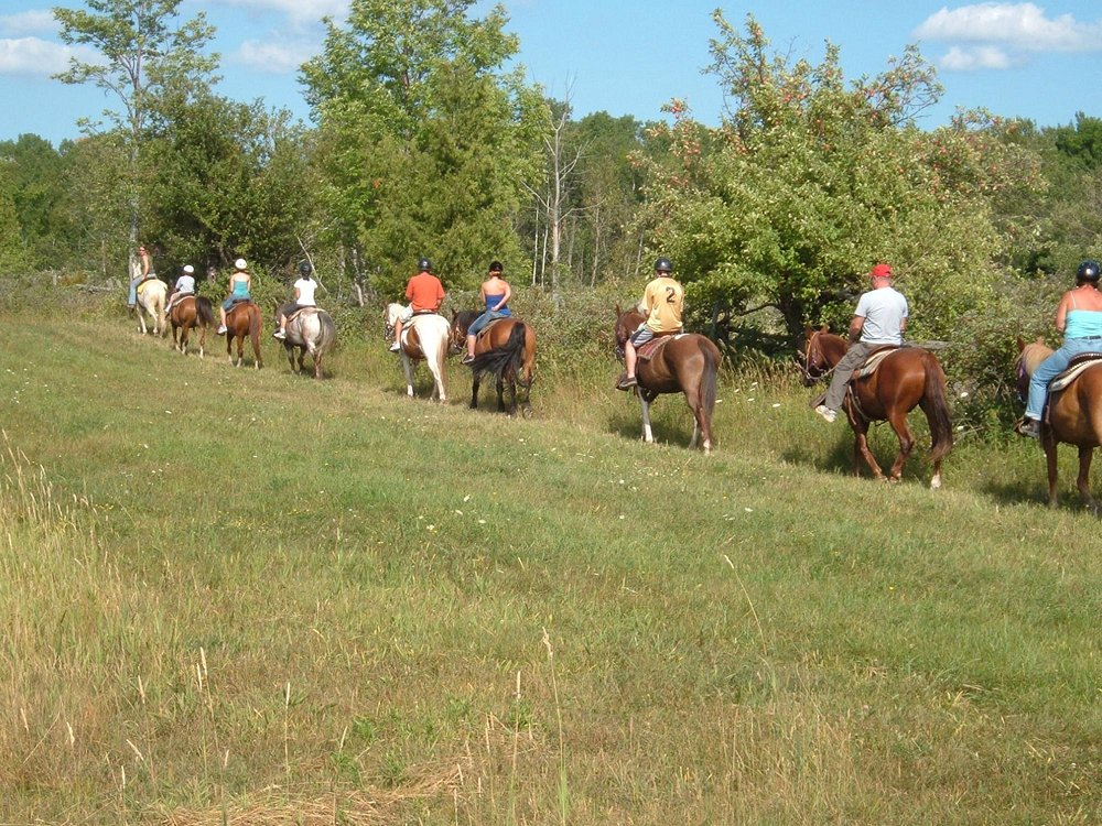 horseback riding tours ontario