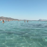 splendido