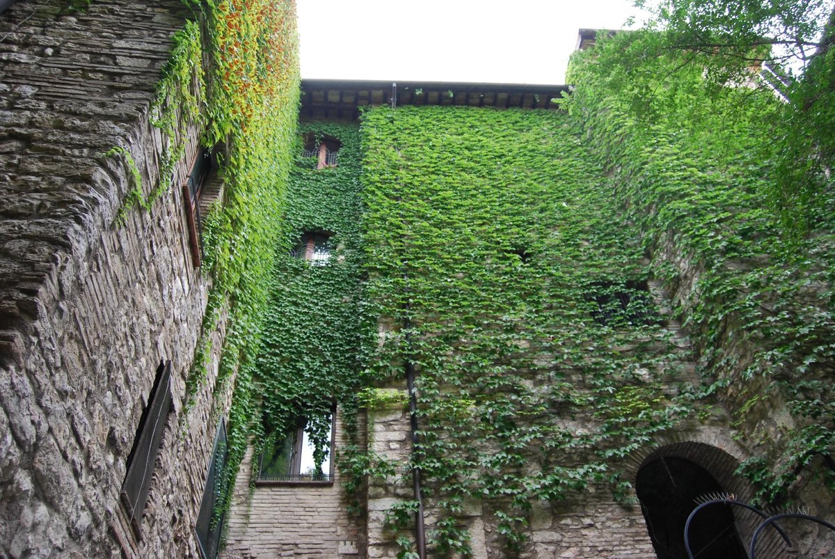 LA LOGGIA DEI PRIORI, Narni - Menú, Precios y Restaurante Opiniones ...