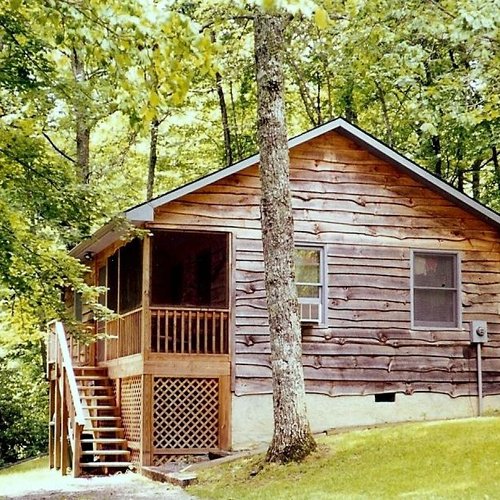 Ash Grove Mountain Cabins & Camping image