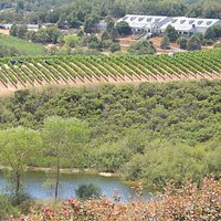 View of the tasting room from the highest point of the property.