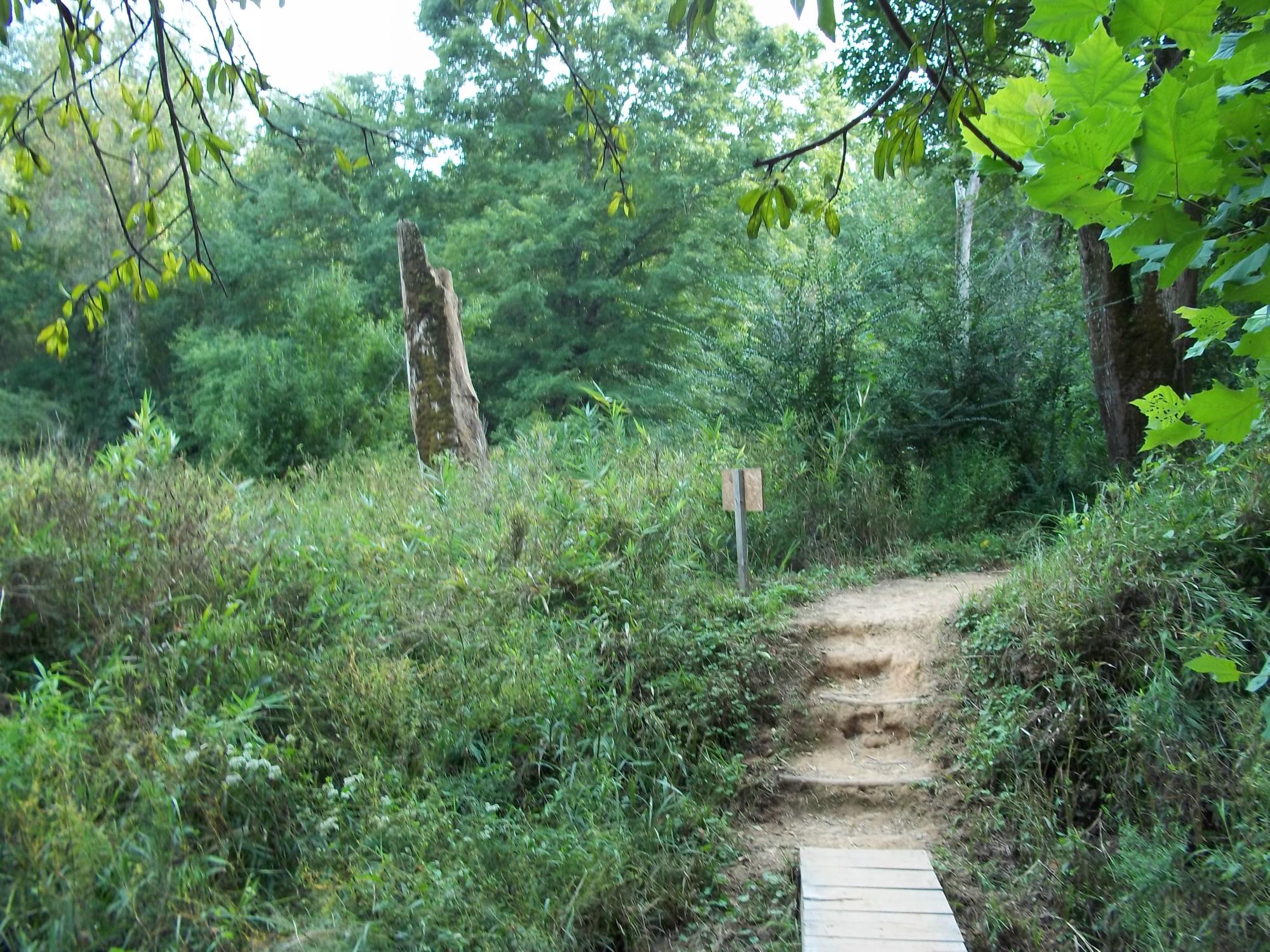 Chattahoochee bend 2025 state park hiking