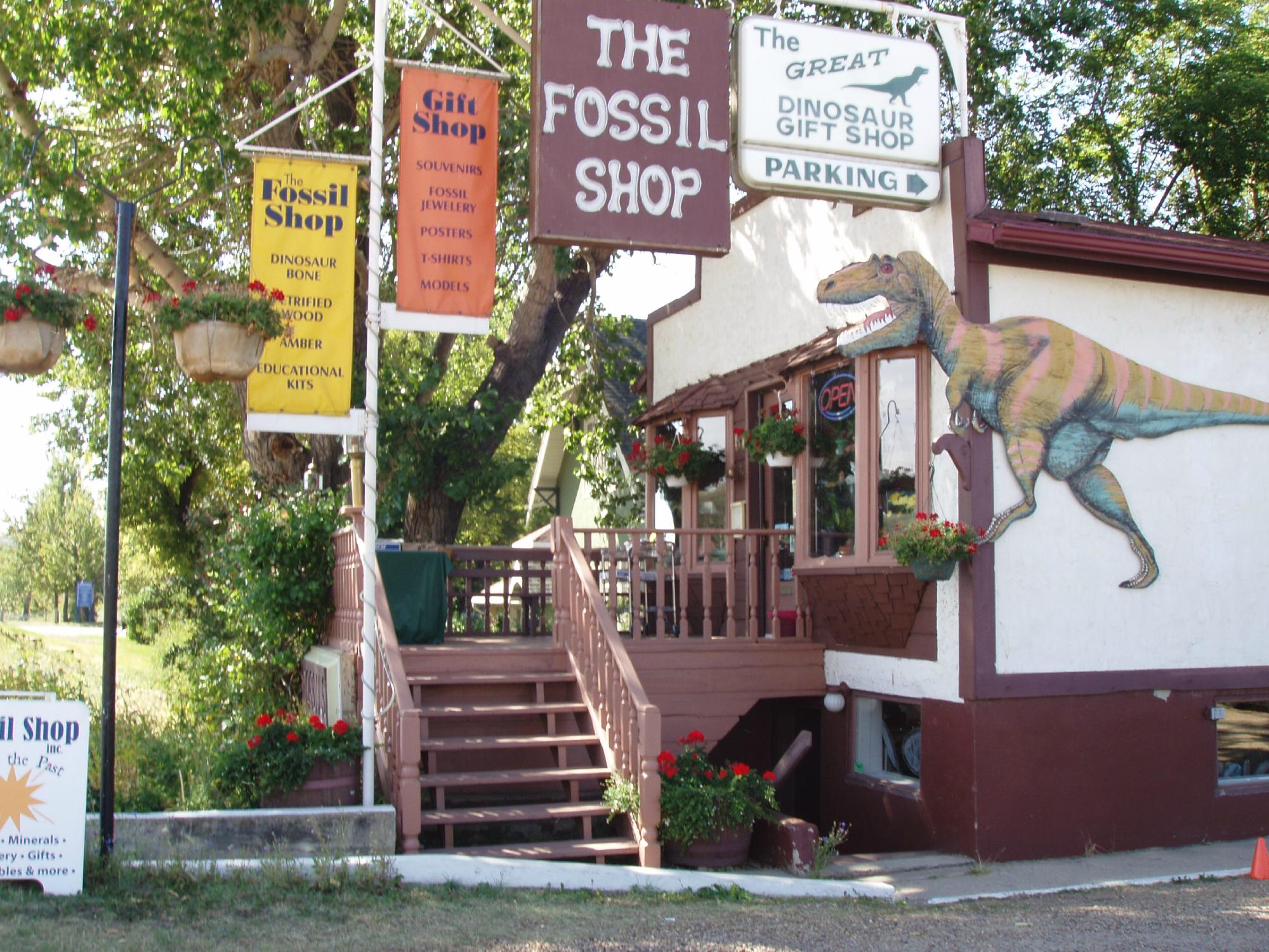 Dinosaur fossil shop sale