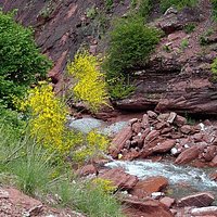 Gorges du Cians